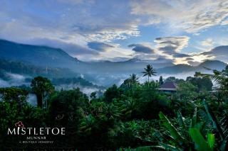 Mistletoe Munnar Homestay & Cafe - 7