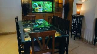 Dr Balis Bliss Homestay - 1