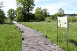 Nature & Relaxation - Apartment with Garden near Augsburg & Legoland - 6