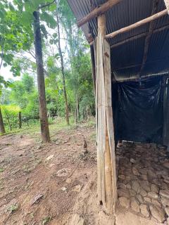 Watchara organic farm - 9