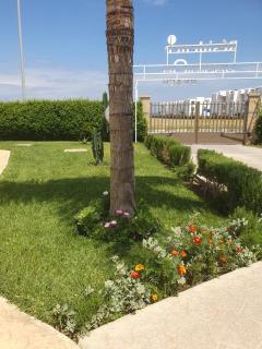 Yasmina beach - 8