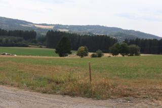Ferienoase übern Zottbachtal - 8