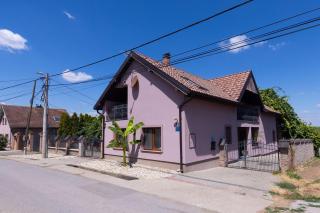 Aura - kuća za odmor i sobe Aljmaš - 6