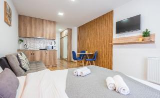 Loft New Gudauri LT - 2