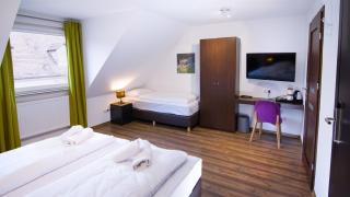 Hirsch Hotel Hanau - 9