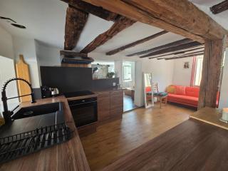 Les appartements du Manoir - Vue Alpes, proche Château de Villa - 3