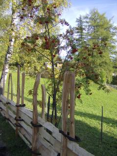 Vista Apartments - 5