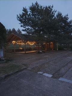 Zielone Wzgórze - 4
