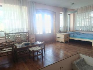Galata Sea view apartment - 1