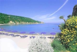 Appartamenti Miramare in Collina - 1