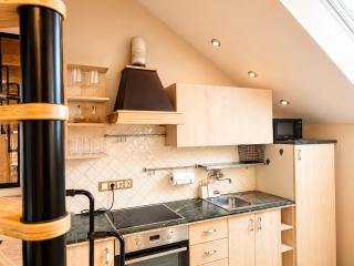 Vilniaus street Center apartment - 7