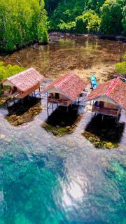 Mangrove Reef Guest House - 9