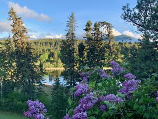 Pine & Peak Hot Tub Private Lake 19 Acres Near Cranbrook - 2