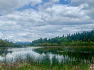 Pine & Peak Hot Tub Private Lake 19 Acres Near Cranbrook - 4