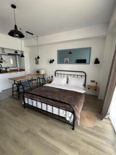 Studio Apartment in Bakuriani Raimond Residence - 4