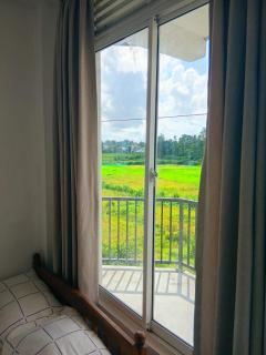 Paddy Field Home Only for Girls with Sharing Bathroom - 5
