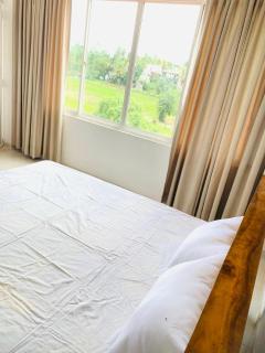 Paddy Field Home Only for Girls with Sharing Bathroom - 3