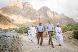 Wadi Arbeieen Chalet - 4