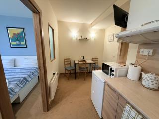 Modern Studio in Bansko, Emerald - 3