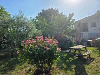 Appartement les abeillons - 1