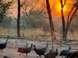 Zaganaga Kruger Lodge - 7