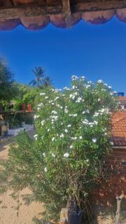 Apartamento - 2