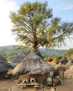 Mamoudou - 4
