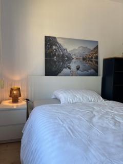 Comfortable Private Room in a Prime Location! HBF - 0