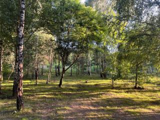 LakeWood Mazury - 4