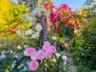 Delightful 1 bedroom house in South Surrey White Rock neighborhood - 8