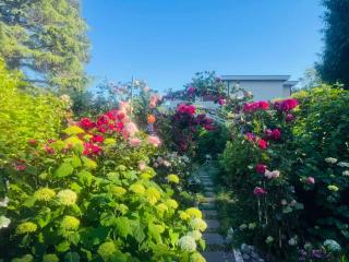 Delightful 1 bedroom house in South Surrey White Rock neighborhood - 1