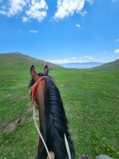 Erjan travel - 5