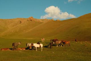 Erjan travel - 3