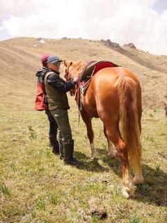 Erjan travel - 2