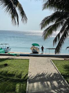 Oceana Trinco - 4