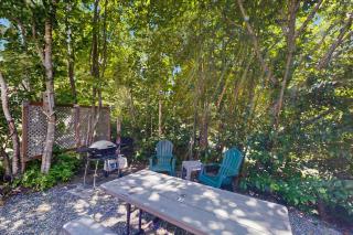 Lakefront cottage with full kitchen, firepit, gas grill, Wifi, a/c - 4