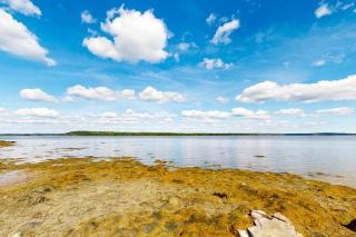 Dog-friendly, bayfront home w/rocky beach, full kitchen, washer/dryer & firepit - 1