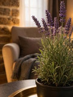Oldrooms Boutique Hotel - 9