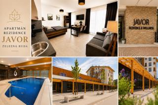 Apartmán Rezidence Javor Železná Ruda - 0