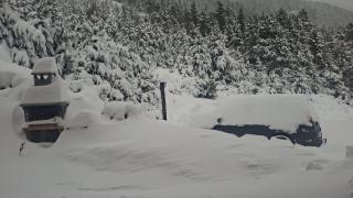 Setcases-Vallter hostal Mitja Pensió 3 - 2