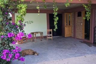 Lovely garden flat with stunning mountain views - 3