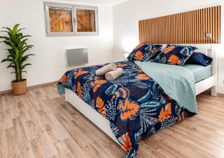 ''Le Nid du Forez'' appartement 2 chambres , parking gratuit ,terrasse privative - 5