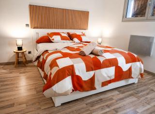 ''Le Nid du Forez'' appartement 2 chambres , parking gratuit ,terrasse privative - 4