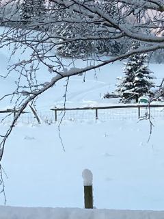 Log cabin in rural surroundings - 6