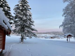Log cabin in rural surroundings - 4
