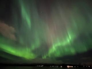 Tromsø Island Seafront Garden Suite - 8
