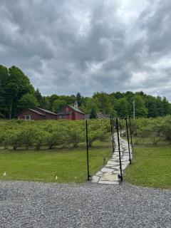 Group Farmhouse - Games, Trails & Berry Picking - 4