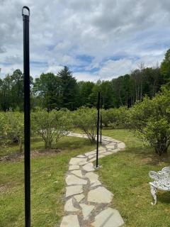 Group Farmhouse - Games, Trails & Berry Picking - 7
