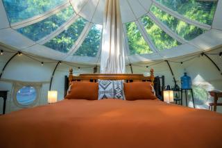 Stargaze and Swim at the Hideout - Luxury Glamping - 7