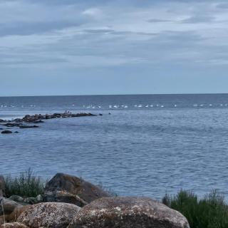Kihnu saar ,privaatne maja sauna ja kümblustünniga - 8